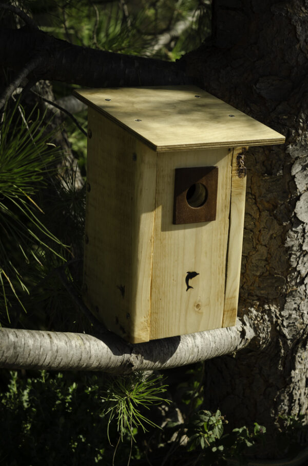 Custom-made Birdhouses